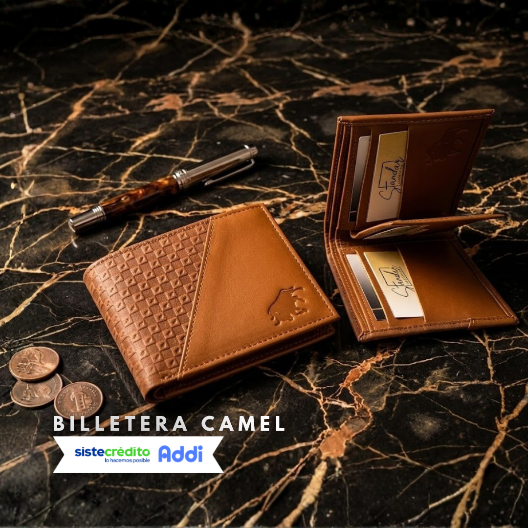 BILLETERAS CABALLERO